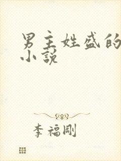 男主姓盛的现代小说