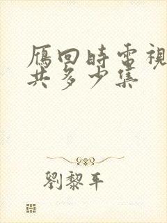 雁回时电视剧一共多少集