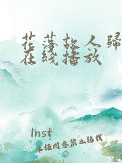 花落故人归短剧在线播放