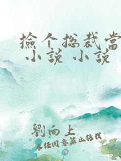 捡个总裁当老婆 小说 小说