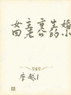 女主重生婚内挽回老公的小说