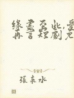 缘尽至此,爱不再言短剧免费观看