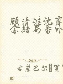 顾清淮沈霁禾乔念结局番外