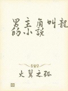 男主角叫龙傲天的小说