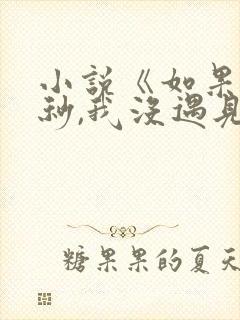 小说《如果这一秒,我没遇见你》