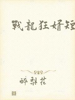 战龙狂婿短剧