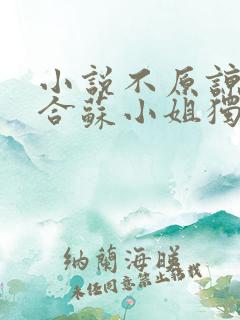 小说不原谅不复合苏小姐独美全文免费阅读