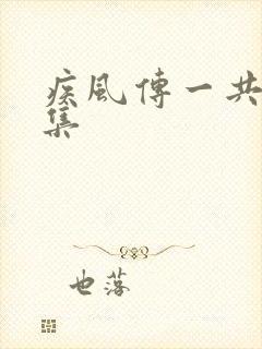 疾风传一共多少集