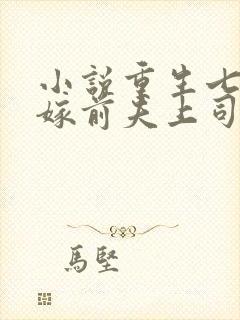 小说重生七零改嫁前夫上司