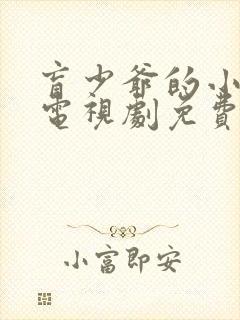 盲少爷的小女仆电视剧免费观看