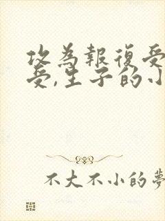 攻为报复受娶了受,生子的小说