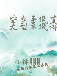 安卓手机有哪些大型单机游戏