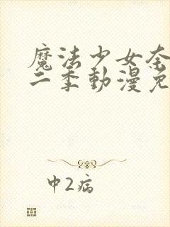 魔法少女奈叶第二季动漫免费