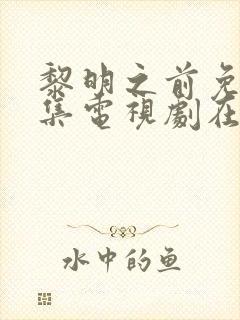 黎明之前免费全集电视剧在线看