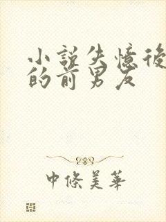 小说失忆后多了的前男友