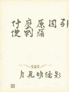 什么原因引起小便刺痛