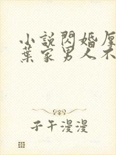 小说闪婚厚爱:叶家男人不离婚免费看