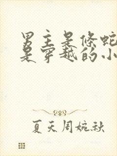 男主是条蛇女主是穿越的小说