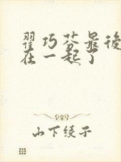 翟巧芬最后和谁在一起了