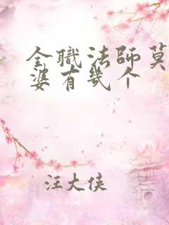 全职法师莫凡老婆有几个