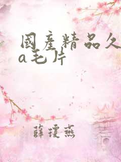 国产精品久久久a毛片