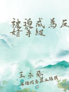 被迫成为反派赘婿等级