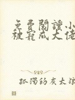 免费阅读小哭包被宠成大佬心尖宠