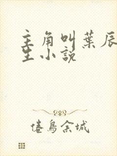 主角叫叶辰的重生小说