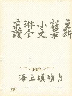 宋琳小说免费阅读全文最新章节