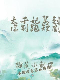 太子妃驾到总裁你别跑短剧