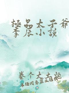 极品太子爷主角李辰小说