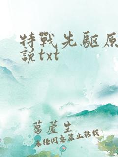 特战先驱原著小说txt