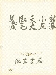 凤傲天小说里的黄毛大反派也想要幸福沐恩