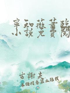 宁知薇萧临风的小说免费阅读