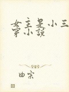 女主是小三的快穿小说