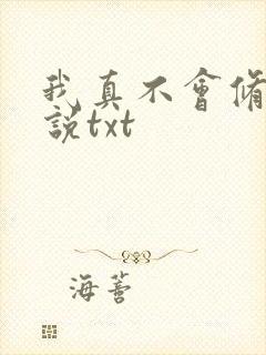 我真不会修仙小说txt