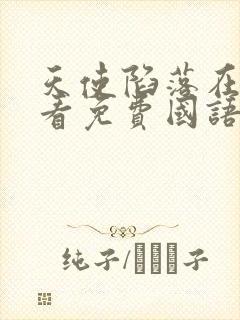 天使陷落在线观看免费国语完整版