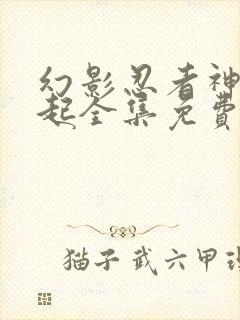 幻影忍者神龙崛起全集免费看