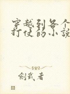 穿越到各个战场打仗的小说