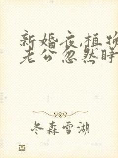 新婚夜,植物人老公忽然睁开眼最新更新