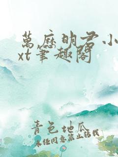 万历明君小说txt笔趣阁