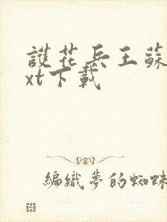 护花兵王苏南txt下载