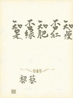 知否知否知否应是绿肥红瘦原著叫什么