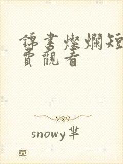 锦书灿烂短剧免费观看