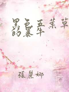 黑色五叶草黑色的暴牛