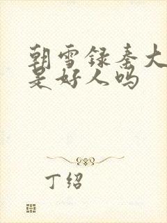 朝雪录秦大公子是好人吗