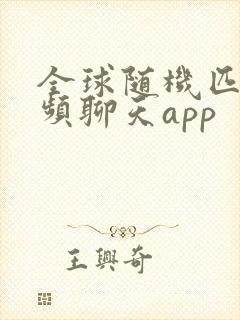 全球随机匹配视频聊天app