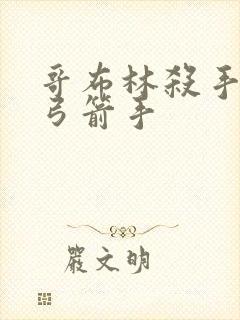 哥布林杀手精灵弓箭手