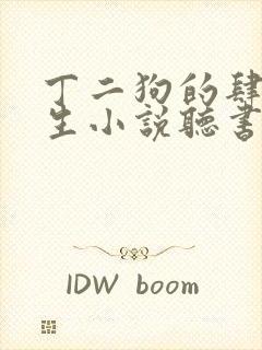 丁二狗的肆意人生小说听书