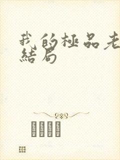 我的极品老婆大结局